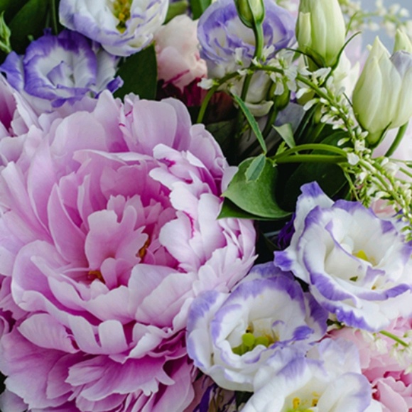 Meet your Posher, Jennifer - Picture 1 of 1